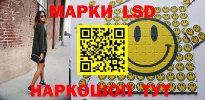 индика Славгород