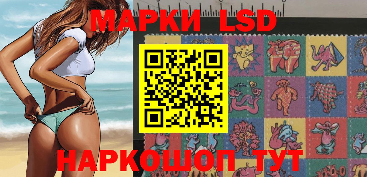 Нерюнгри  Наркотические марки 1500мкг  Наркотические марки 1500мкг  где можно купить   Вход с VPN  Наркотические марки 