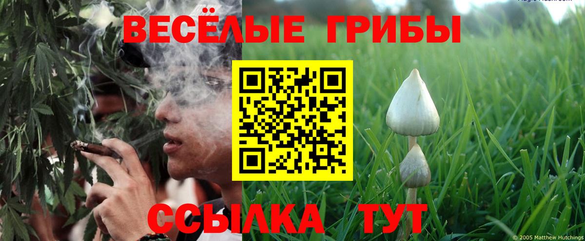 Галлюциногенные грибы мицелий Нерюнгри