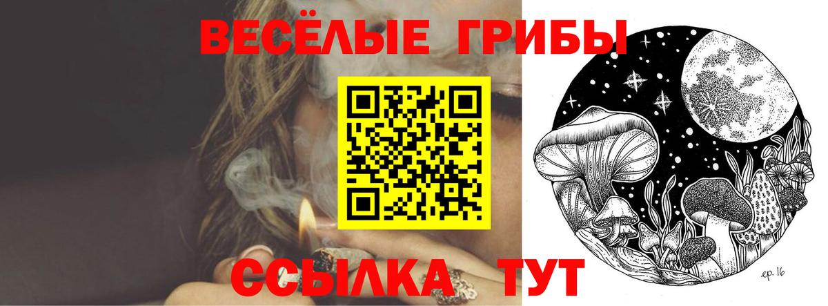 Псилоцибиновые грибы Cubensis  Вход с VPN  Нерюнгри 